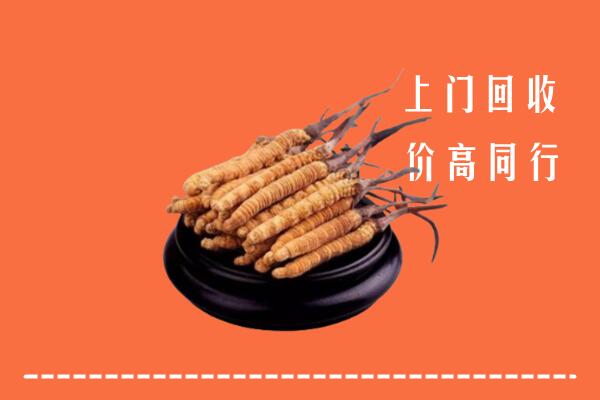 高价求购：德阳中江县回收散虫草