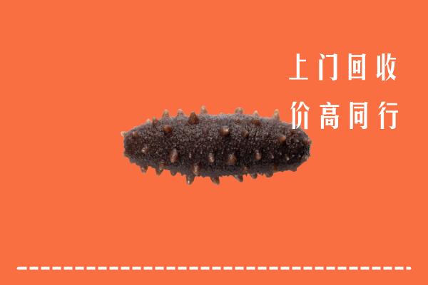 收购行情：德阳中江县回收海参