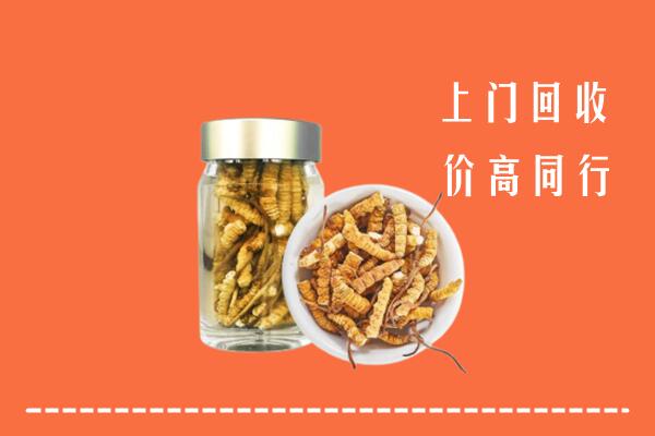 德阳中江县高价回收冬虫夏草